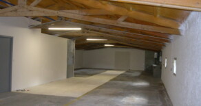 A LOUER 31600 SEYSSES LOCAL PROFESSIONNEL